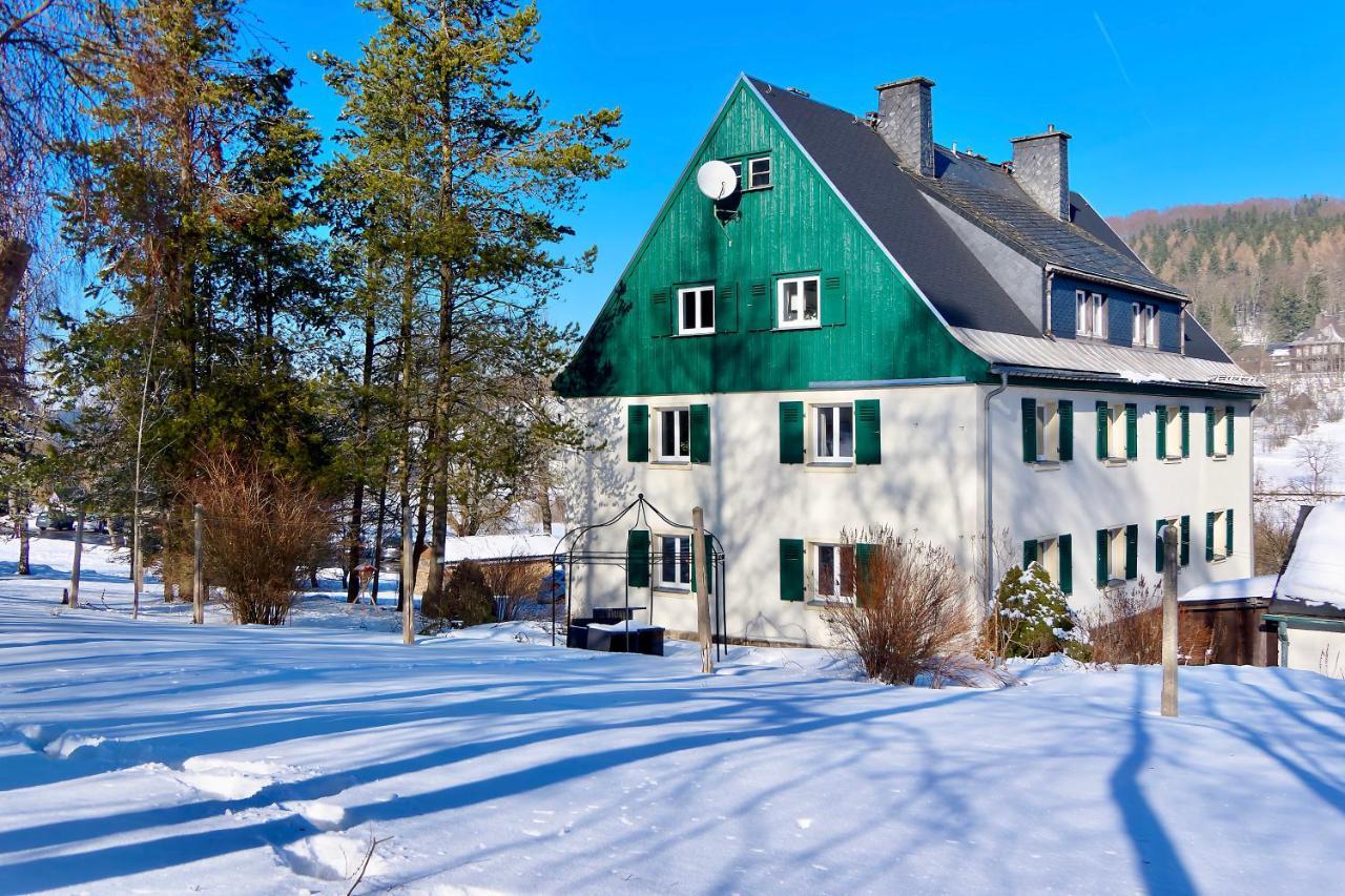 Апартаменты Haus Donnerberg Rehefeld Альтенберг Экстерьер фото