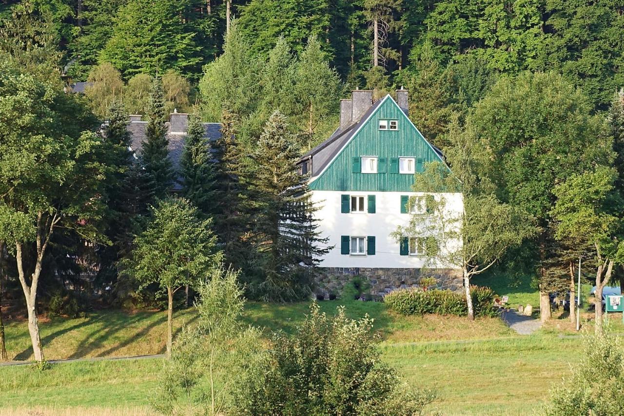 Апартаменты Haus Donnerberg Rehefeld Альтенберг Экстерьер фото